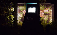 Gardens at Night-22.jpg